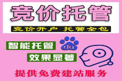 百度推广公司案例研究：打造差异化竞争优势，脱颖而出