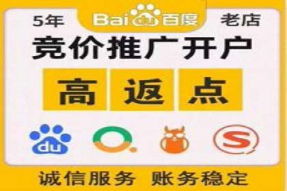 某品牌SEM广告投放的A/B测试与优化